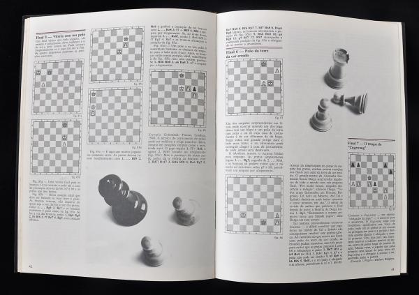 Guide to the chess openings book by Leonard Barden