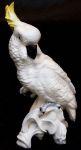 Rica escultura de porcelana representando ave cacatua. J. T. Jones, England   Med. 34cmx18cm