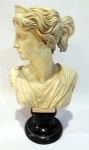 Busto de Deusa Grega,  ARTEMIS com vestes drapeadas, sobre base redonda escura. Peça em fina resina polida e assinada por G. Ruggeri medida total de 25 cm de altura.